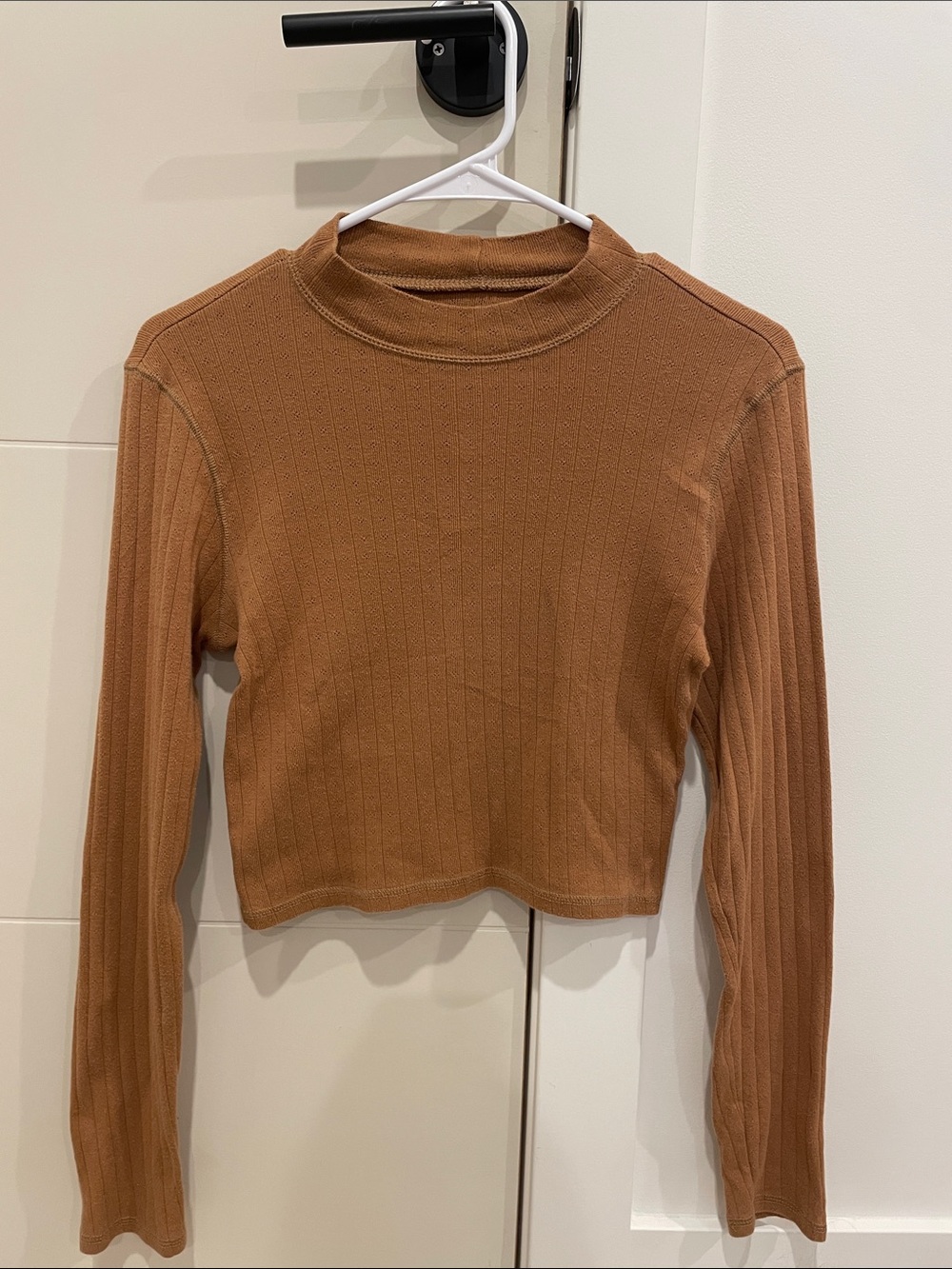 American Eagle Outfitters Cropped Ribbed Mock Neck Long Sleeve - Brown